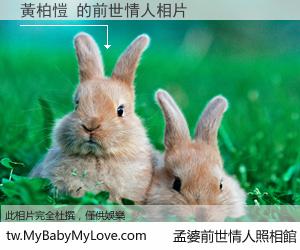 黃柏愷 的前世情人