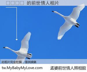 불로장생 的前世情人