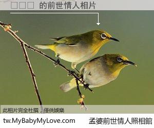 씨잼철 的前世情人