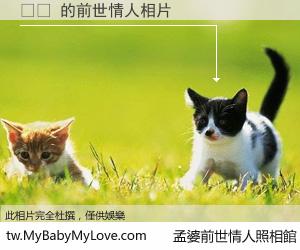 알황 的前世情人