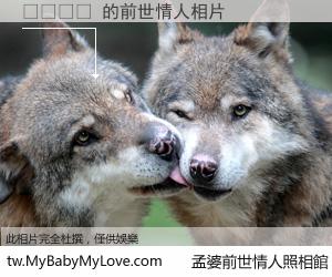 윤아기안 的前世情人